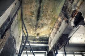 Best Post-Construction Mold Inspection  in Clairton, PA